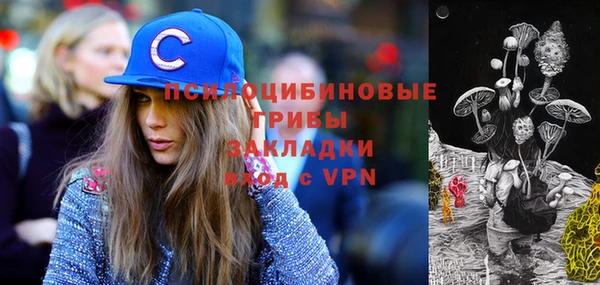 стафф Сосновоборск