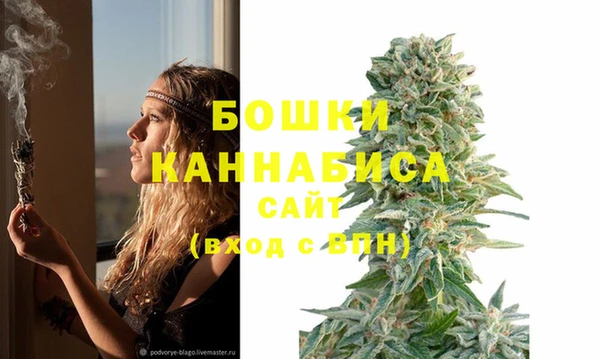 молекула духа Кулебаки