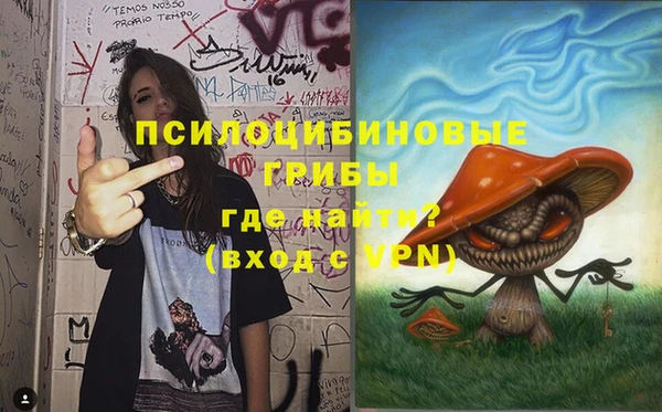 стафф Сосновоборск