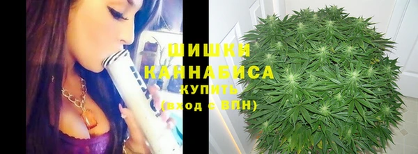 стафф Сосновоборск