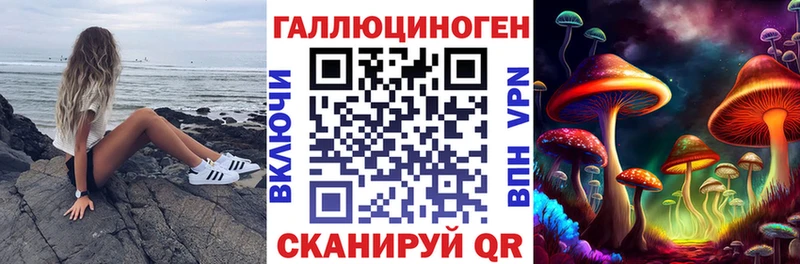 Псилоцибиновые грибы мицелий  наркота  Весьегонск 